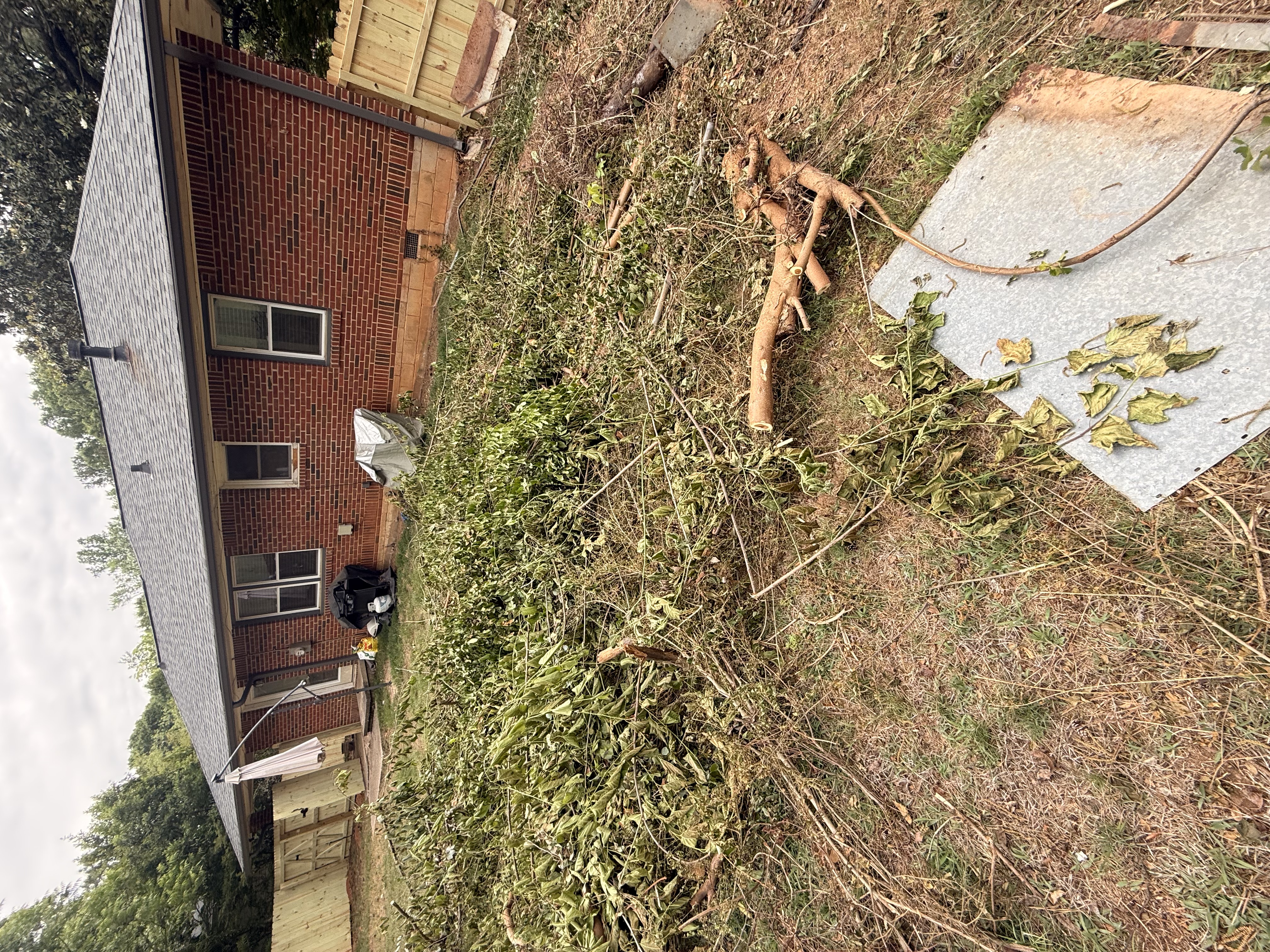 Overgrown yard with fallen tree and yard waste debris